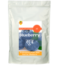 Ecotika Blueberry Sutra Plant Food 400 grams